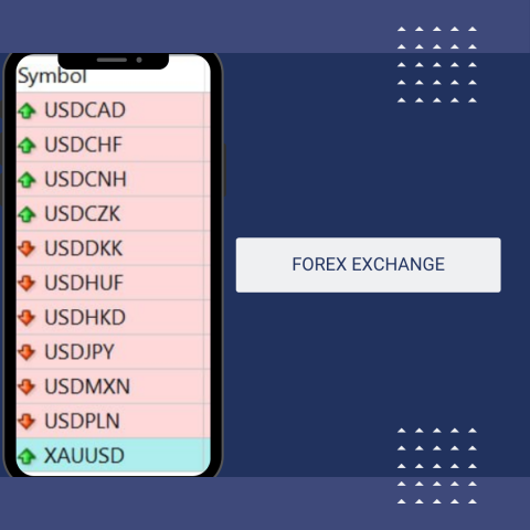 Forex Exchange management